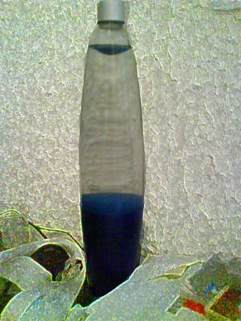 DSC00444